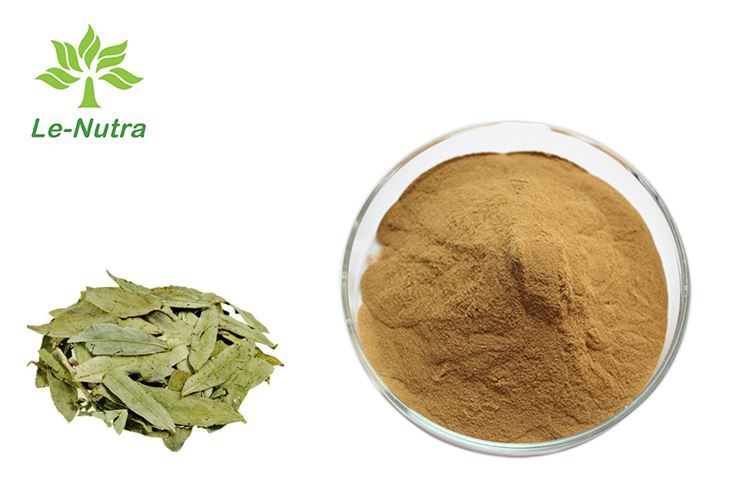 extraction-of-senna-leaves