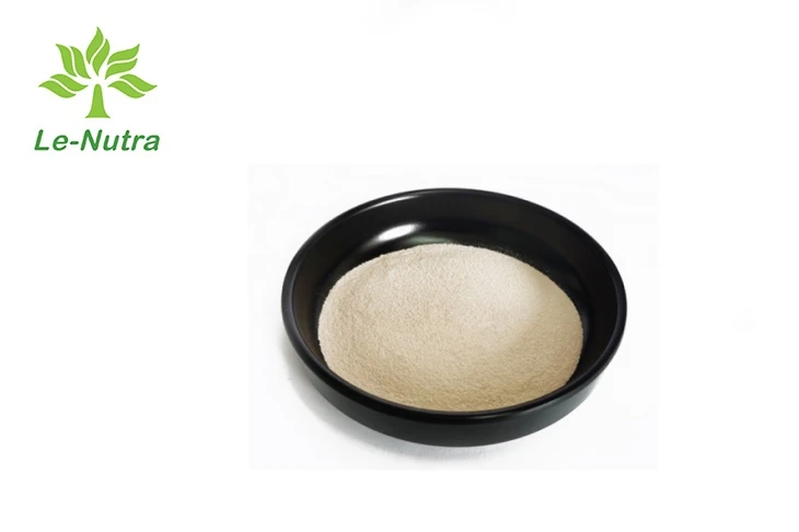Pure Sea Cucumber Peptide Powder